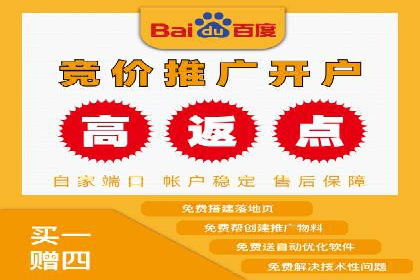 SEM竞价代运营：案例展示数据分析与应用